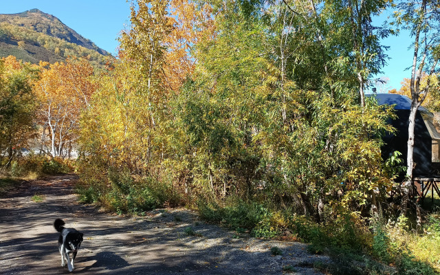 Cottages Goryachaya Sopka