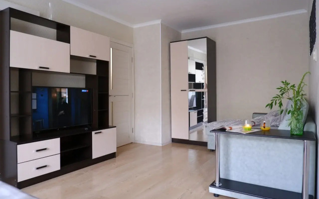 Dvukhkomnatnaya Kvartira Apartments