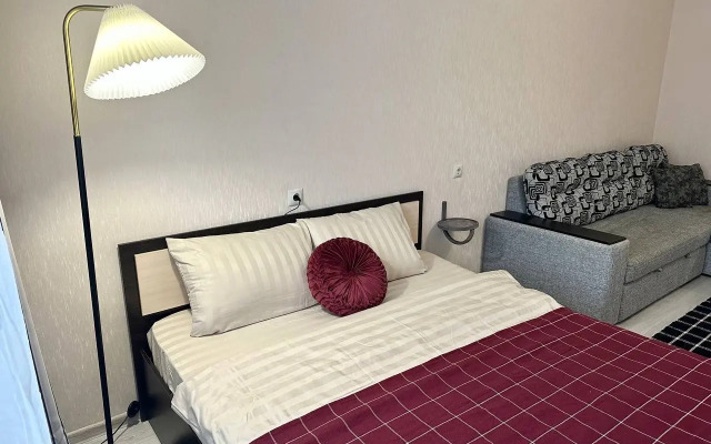 Квартира просторная в центре города