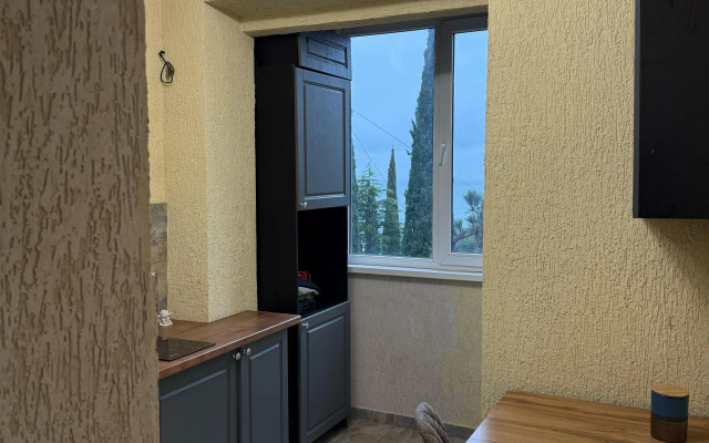 Uyutnaya odnokomnatnaya s vidom na more Flat
