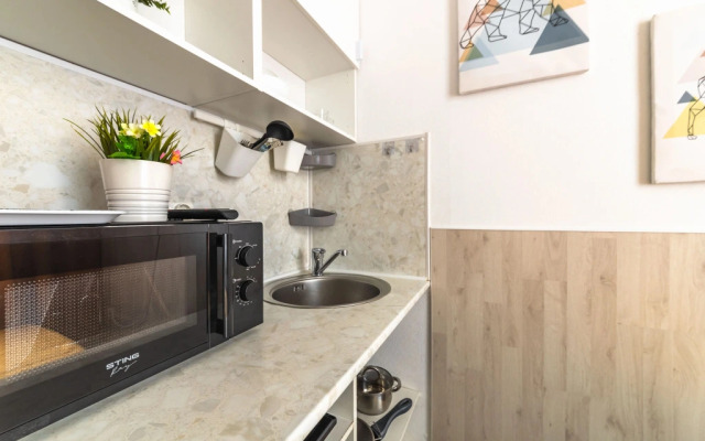 Квартира Двухместная студия возле Александро-Невской лавры (Х5)