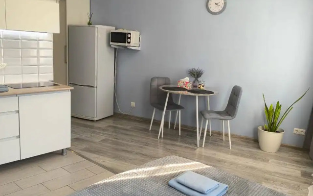 Квартира Уютная студия