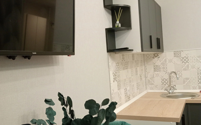 Апартаменты Студия у Глобуса