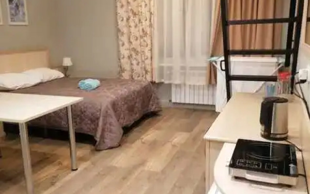 Апартаменты Шереметьевская