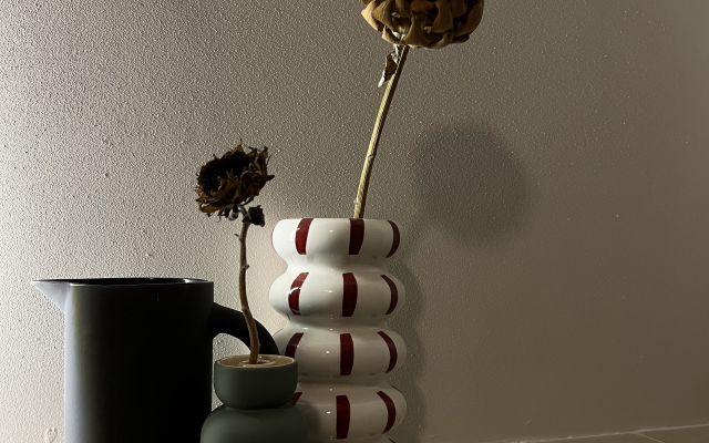 Квартира Mozart Lounge