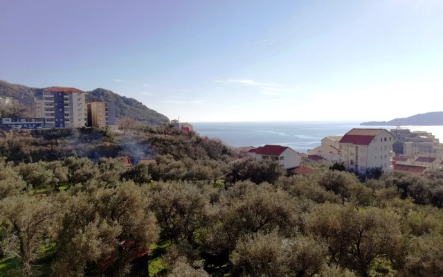 Oliva Apartments