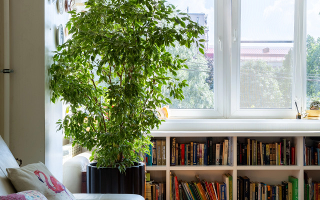 Квартира Идеальная в историческом центре города