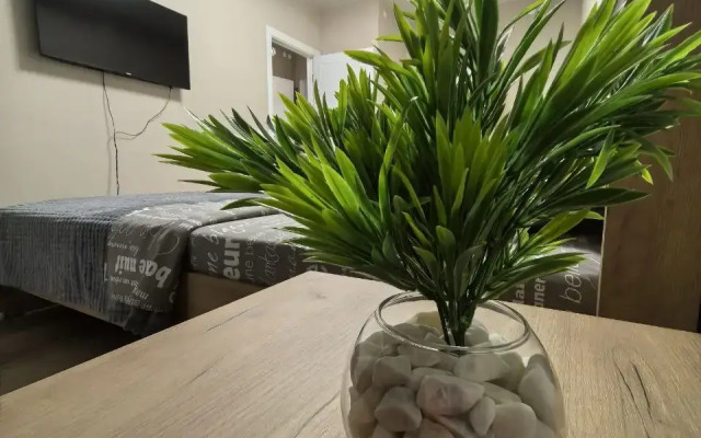 Квартира в Самаре в экологическом  районе