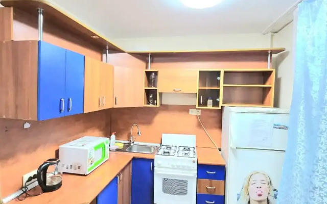 Na Karla Marksa 124 Apartments