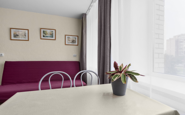 Studio Apartment Na Prospekte Nauki