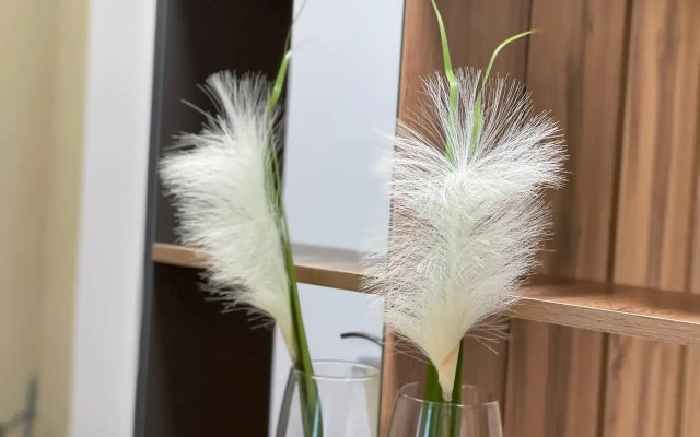 Uyutnaya Nedaleko Ot Aeroporta Domodedovo Flat