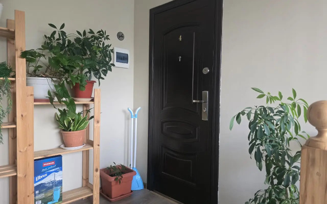 Apartamenty v Tsentre Pyatigorska 3