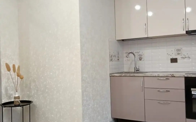Apartamenty uyutnaya studiya ryadom s aeroportom Koltsovo Flat