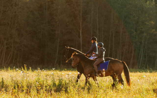 Agroturisticheskij Kompleks El Rancho Hotel