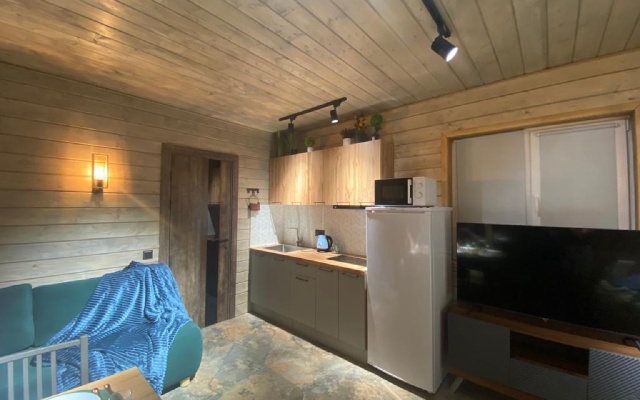 Частный дом у Друзей