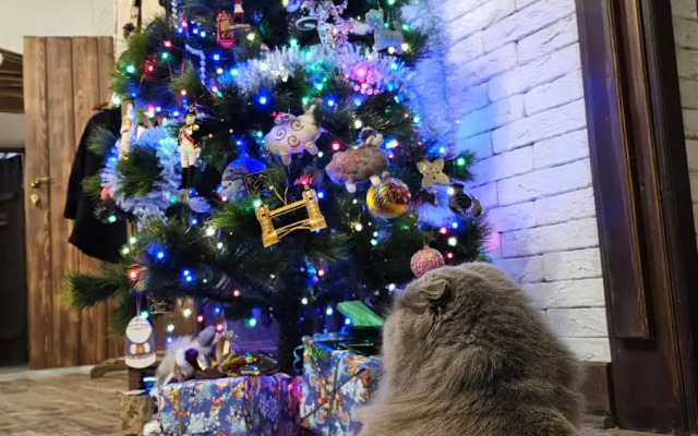 Гостевой дом Дом Ершова