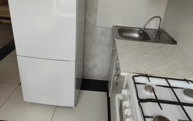 V Istoricheskom Tsentre Kazani Tukaya 65a Flat