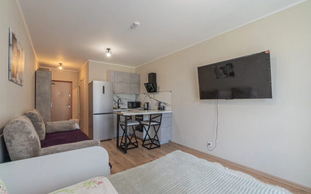 Апартаменты Улучшенные Трехместные SalutApart 8