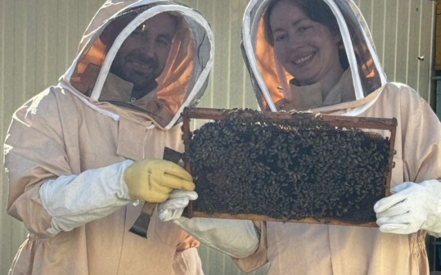 Гостевой дом Bee Planet