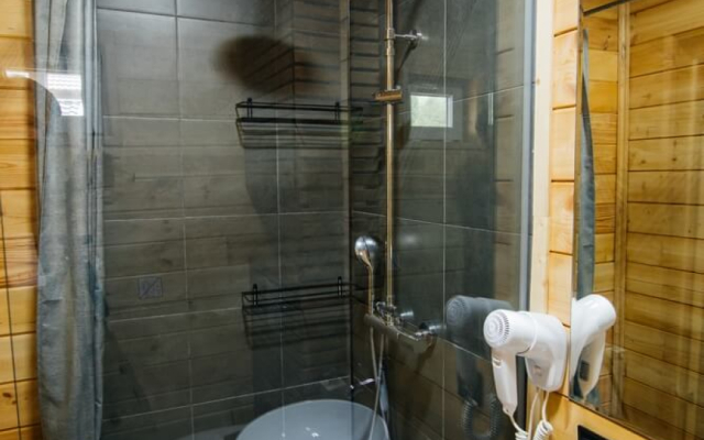 Shale Monteville Arkhyz   Chalet
