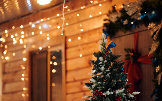 База Отдыха Сны Леса