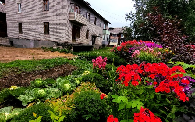 Uyut i Komfort Flat