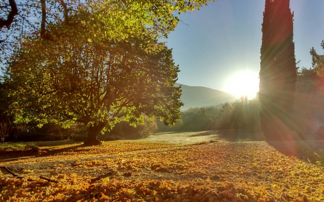 Гостевой Дом Mas de Cocagne en Provence