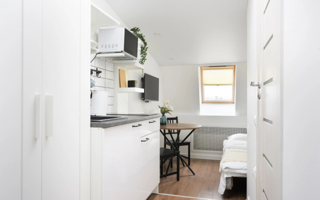 Квартира Студия в мансарде с видом у метро Чернышевская