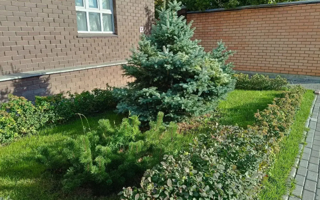Elitnaa Kvaptipa s Dizajnerckim Remontom v Centre goroda v Papke Puskina (ZK Puskinskij)