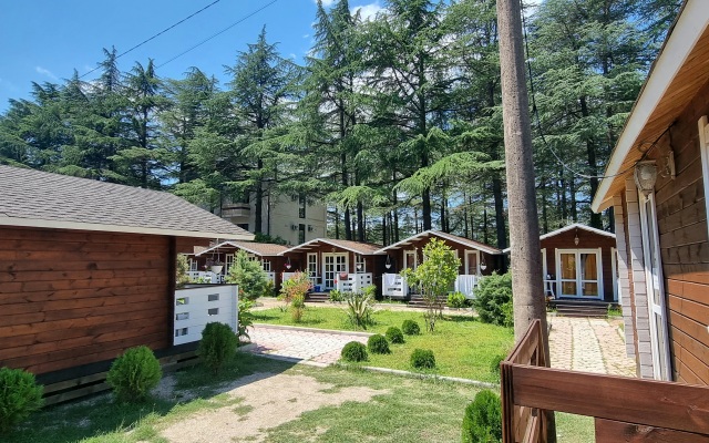 Eco House Pitiunt Resort Hotel