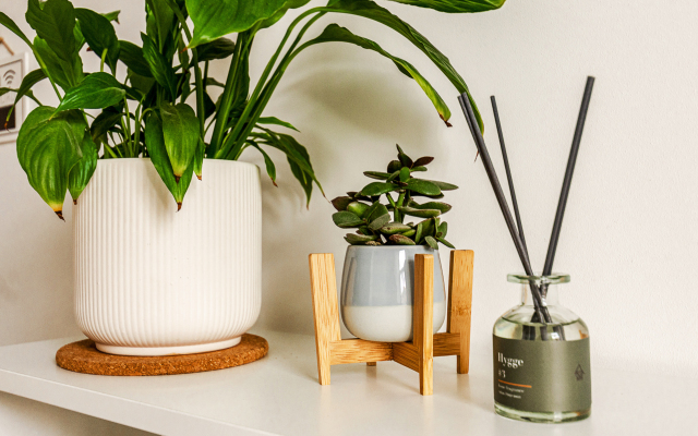 Апартаменты Studio 3 Neva