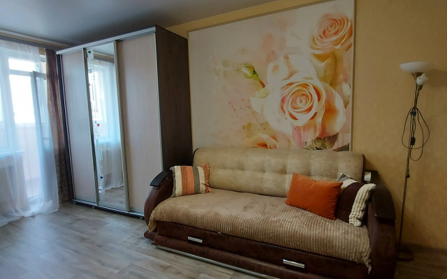 U Myagkoff Apartments