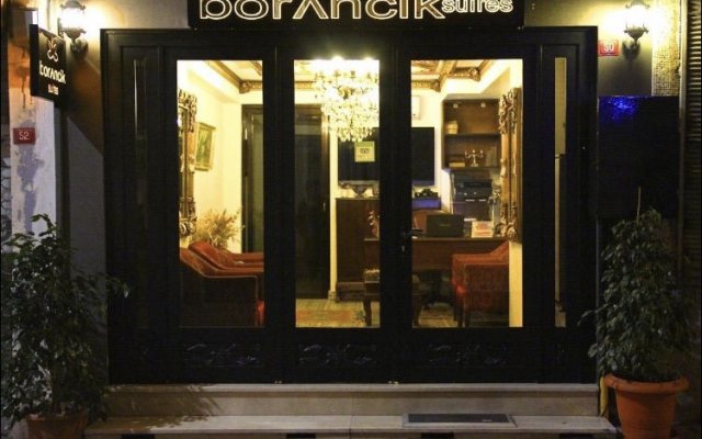 Отель Borancik Suites