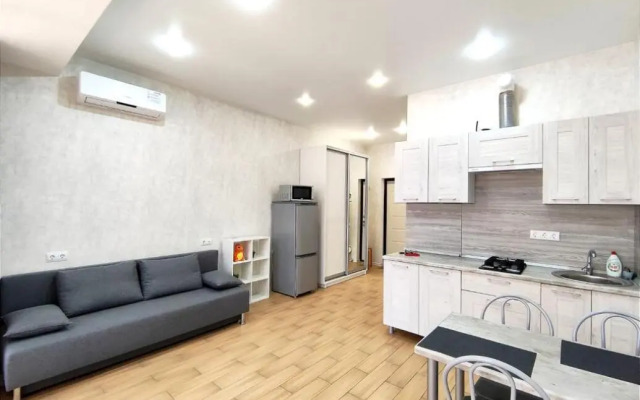Standart s Balkonom i Vidom na Gorod Apartments