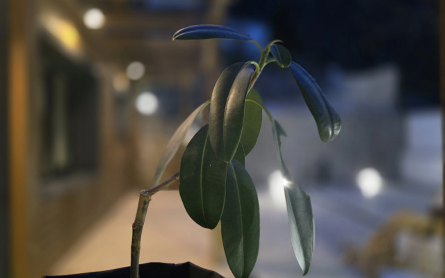 Частный дом Интерьерный коттедж для эстетического отдыха в Кисловодске