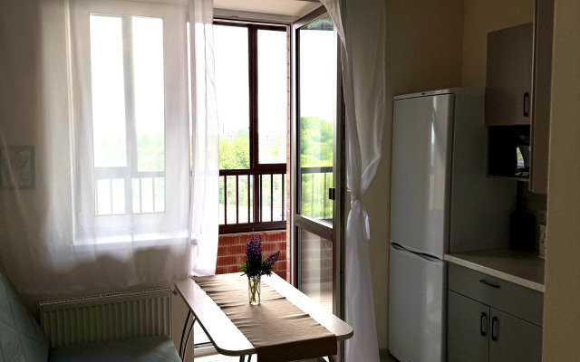 V Tsentre Goroda Na Krasnoy Flat