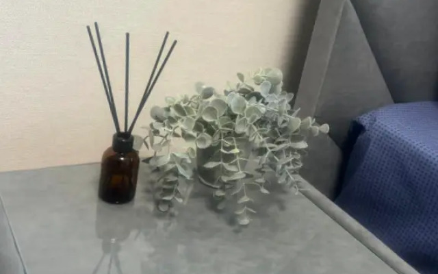 Квартира Домбайская