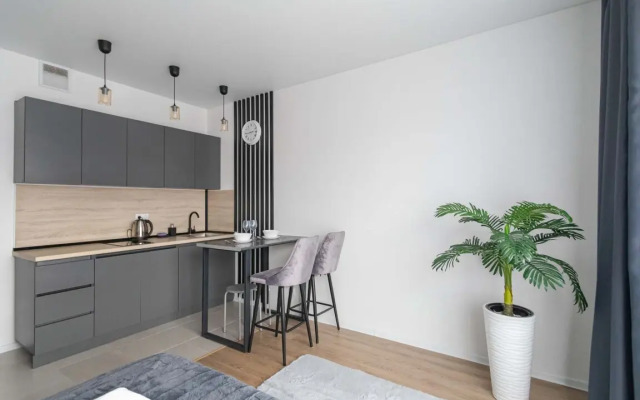 Apartments Komfort S Domashnim Kinoteatrom V Zhk Ilyinskie Luga