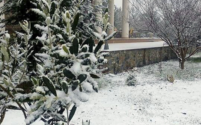 Отель Gea Kaimaktsalan