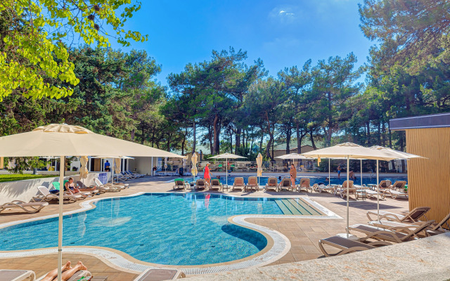 Revital Park  Health resort