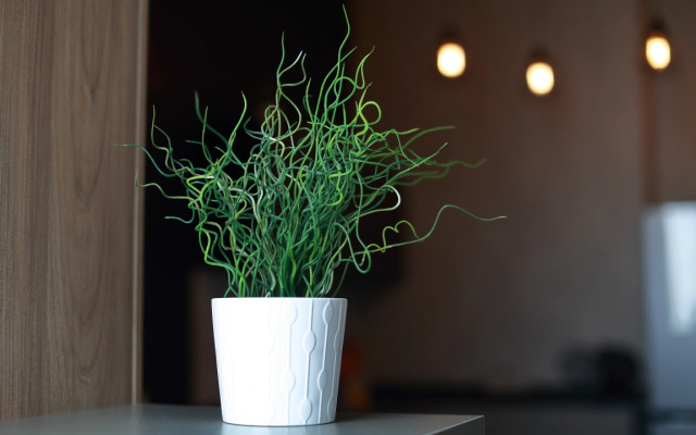 АПАРТАМЕНТЫ REHOME24 Студия 2 на 24 этаже