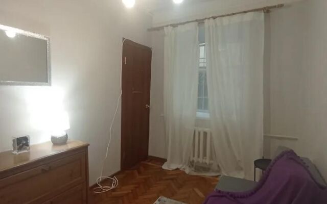 V luchshei lokatsii tsentra, Neva, Ermitazh ryadom Flat