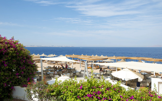 Amphoras Blu
