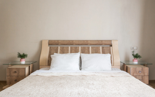 Квартира на Чаплыгина 98