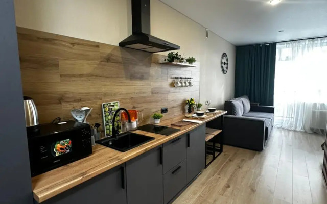 Uyutnaya Studiya Apartment