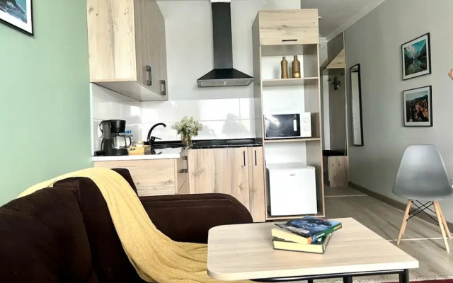 Апартаменты Студия Көктем с шикарным видом на город