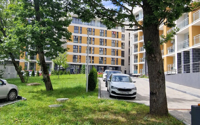 Апартаменты с Видом на Лес