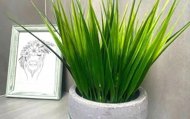 Квартира Комфорт на Орджоникидзе