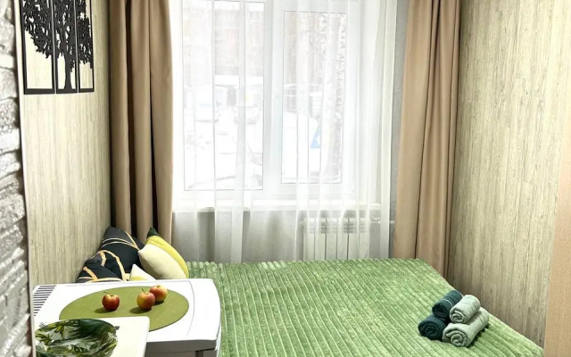 Квартира Студия 100 метров от метро