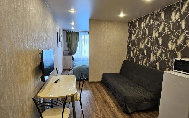Uluchshennaya Studiya U Metro Parnas Flat